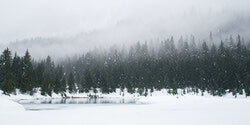 Winter Outdoors 